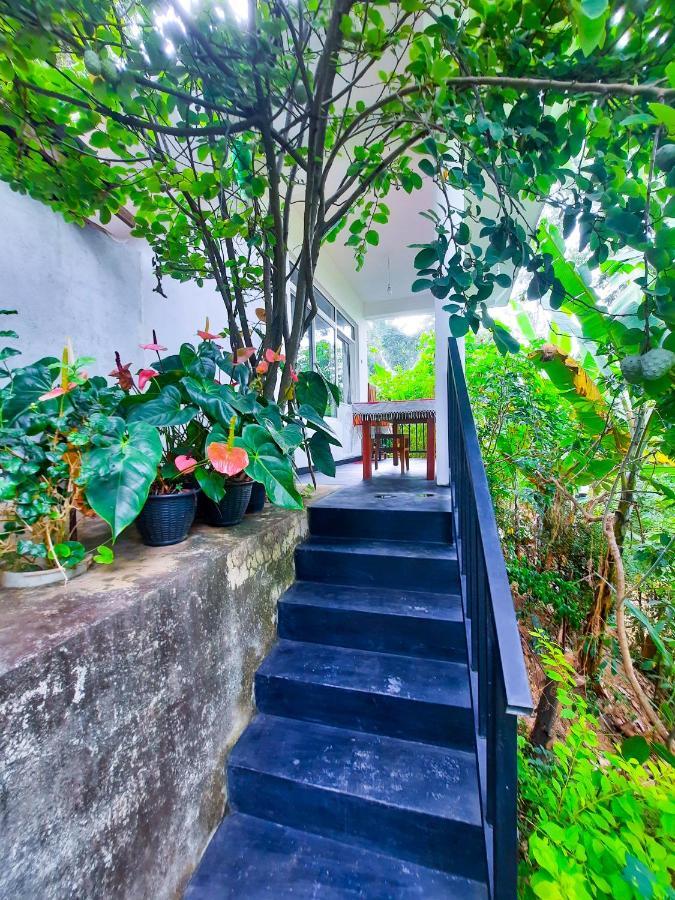 The Bliss Homestay Ела Екстериор снимка